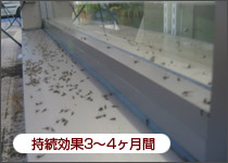 持続効果3～4ヶ月間