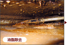 油脂除去
