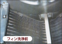 フィン洗浄前