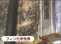 フィン科学洗浄