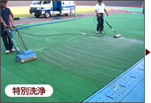 特別洗浄